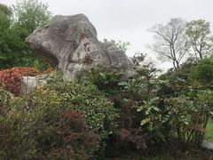 -桃花岛景观公园