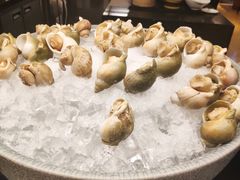 -赛瑞喜来登大酒店-盛宴自助餐厅