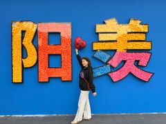 -雅达·阳羡溪山小镇中心
