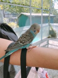 -萌宠亲子动物乐园(槐房万达店)