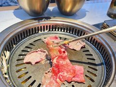 -杨记齐齐哈尔烤肉(总店)