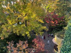 -三鹰之森吉卜力美术馆