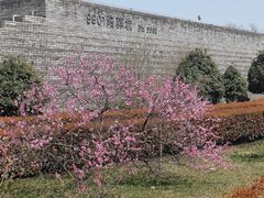 -秦始皇帝陵博物院-丽山园