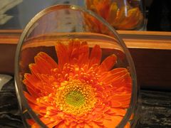 flower-西安永宁门大景城堡酒店