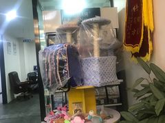 -德元·美联众合24小时动物医院(总院)
