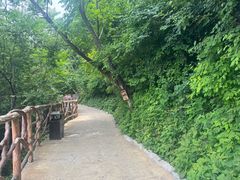-少华山国家森林公园