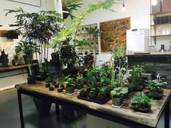 -植觉