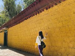 -罗布林卡