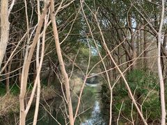-同里国家湿地公园