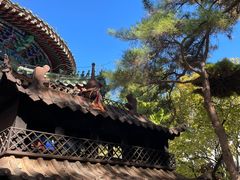 -潭柘寺景区