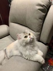 -Beauty Nails 美甲美睫皮肤管理