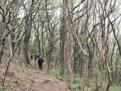 -惠山国家森林公园