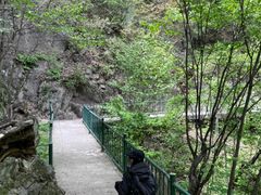 -洛阳白云山景区