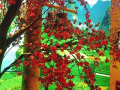 -寻钵记民菜馆·正宗常德钵子菜(滨湖路店)