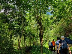 -广州白江湖森林公园