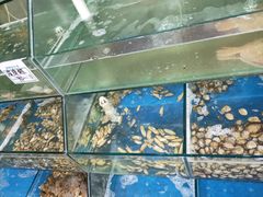 水产区-雅逸居海鲜小厨