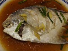 清蒸鱼-兰边碗(鼓楼店)