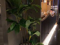 -六月雪干锅(绵阳王府井百货店)
