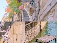 -沉浸北京·团建旅行·密室剧本杀·年会会议轰趴拓展