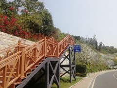 -小南山公园
