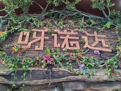 -呀诺达热带雨林