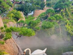 -罗红摄影艺术馆