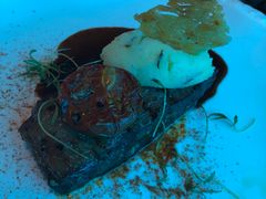 -亚特兰蒂斯•OSSIANO奥西亚诺海底餐厅