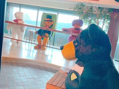 -济州岛泰迪熊博物馆