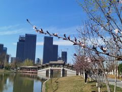 -西海子公园