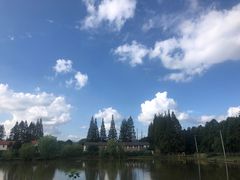 -上海长兴岛郊野公园