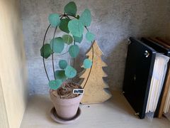 -山下C5cafe(惠通时代广场店)