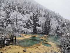 -黄龙山原始森林景区