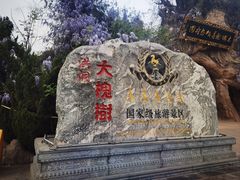 -大槐树寻根祭祖园