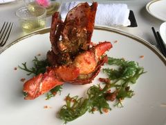 -金轩中餐厅 Jin Xuan(浦东丽思卡尔顿酒店)