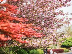 -杭州城北体育公园