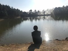 -南京市无想山景区