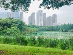 -艾溪湖湿地公园