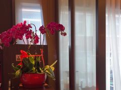 -喜湘宴·精致湖南菜(和平西桥店)