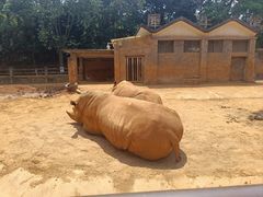 -昆明动物园