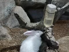 -苏州海洋馆