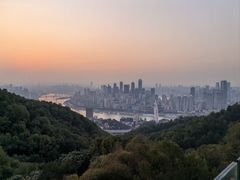 -南山植物园