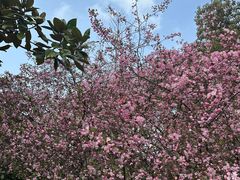 -星巴克(上海交通大学店)