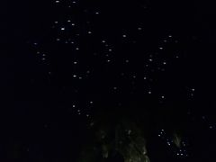 -怀托摩萤火虫洞