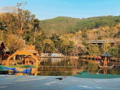 -西双版纳原始森林公园