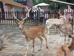 -西安秦岭野生动物园