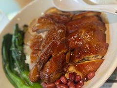 香港豉油鸡饭-金桔香港茶餐(宝安大厦店)