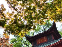 -岳麓山风景名胜区