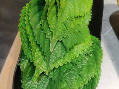 -小黑牛烤肉(聚隆店)