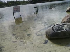 -大宁郁金香公园-停车场