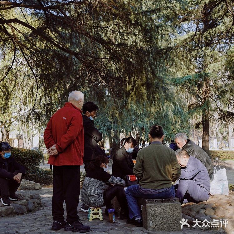 街头随拍｜华山绿地｜闹市区里的街心公园